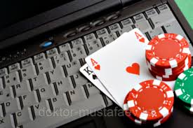 Casino Cat